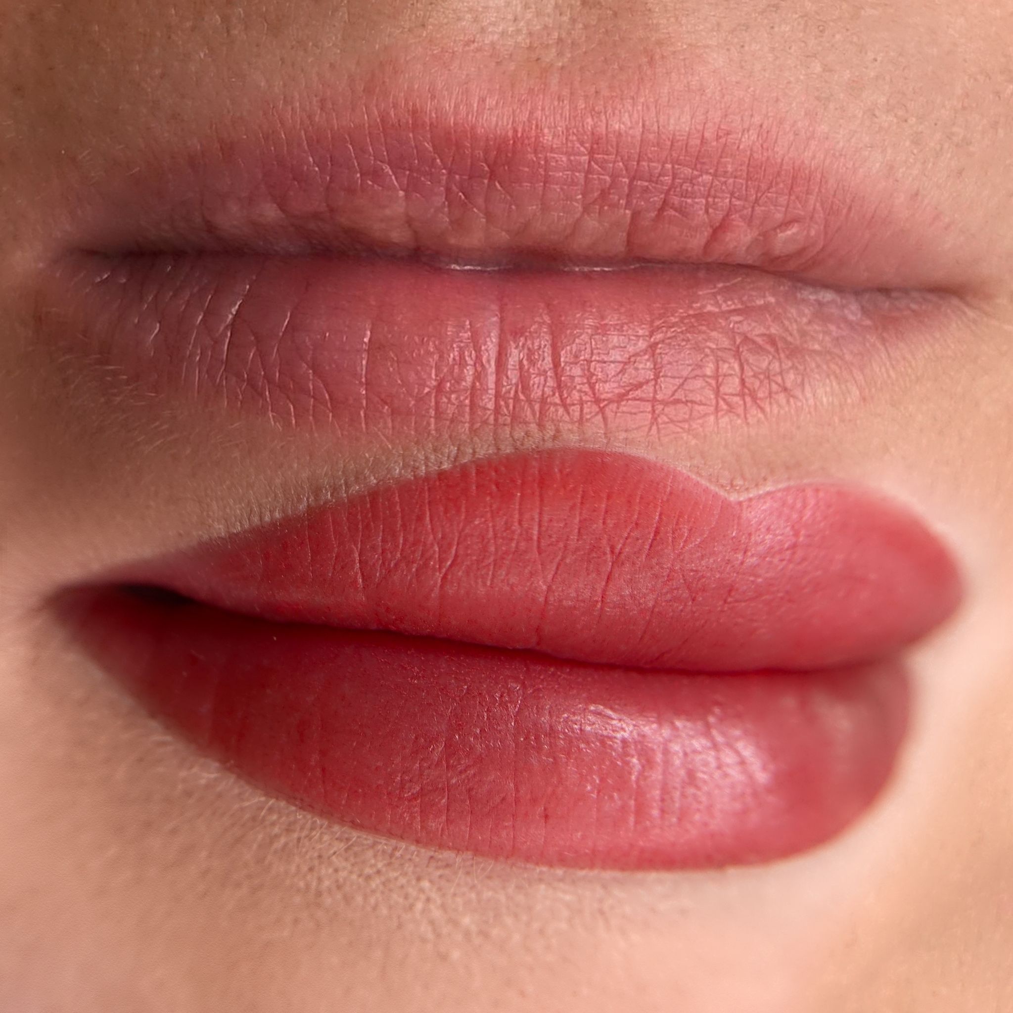 Rezultat micropigmentare sprâncene